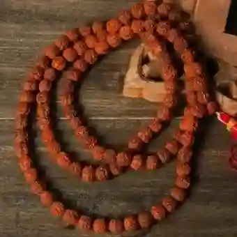 Rudra Aksha