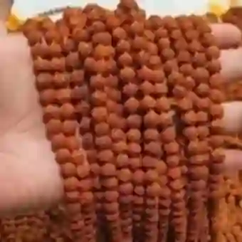 Rudra Aksha Mala
